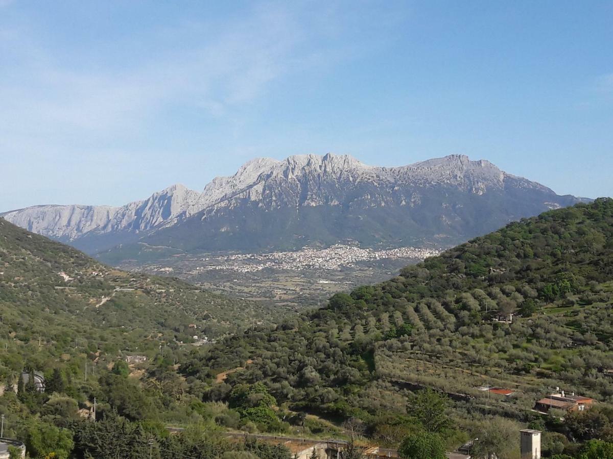 Appartamento Mary Oliena Εξωτερικό φωτογραφία